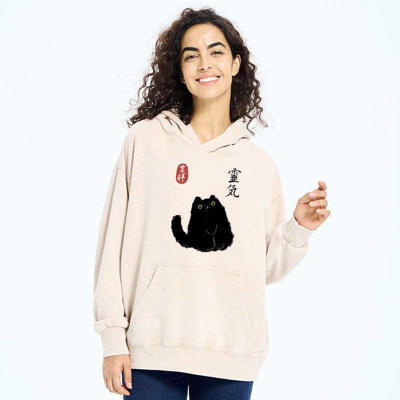 Tokyo-Tiger Black Civet Cat Washed Hoodie